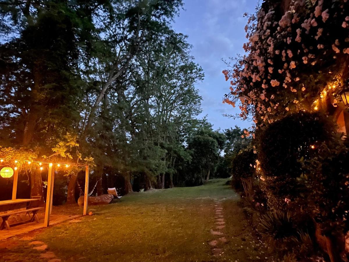 مبيت وإفطار بولسينا Collina Blu المظهر الخارجي الصورة