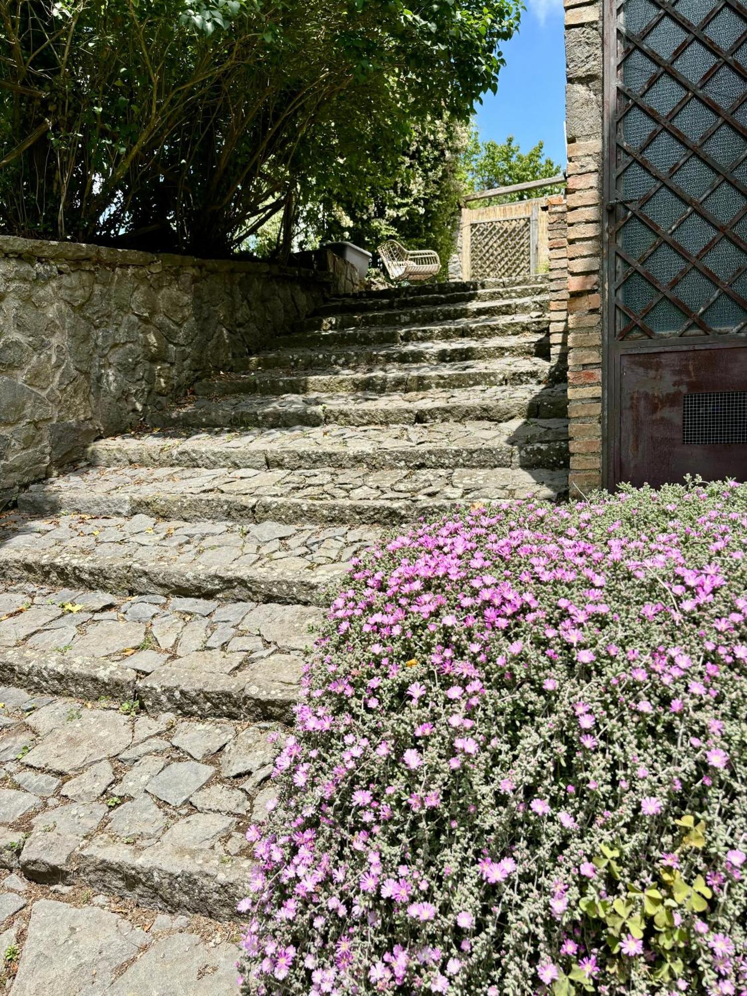 مبيت وإفطار بولسينا Collina Blu المظهر الخارجي الصورة