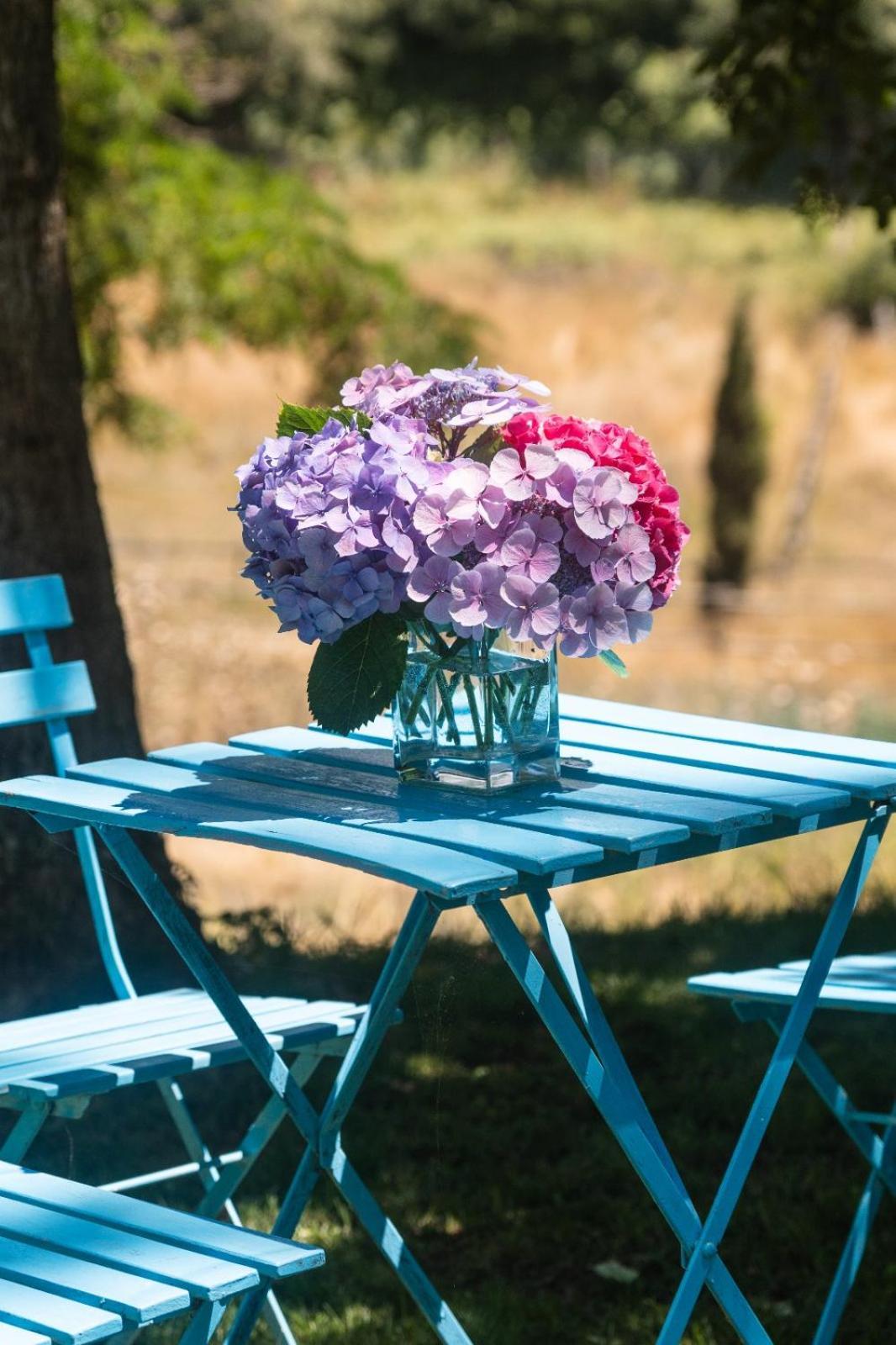 مبيت وإفطار بولسينا Collina Blu المظهر الخارجي الصورة