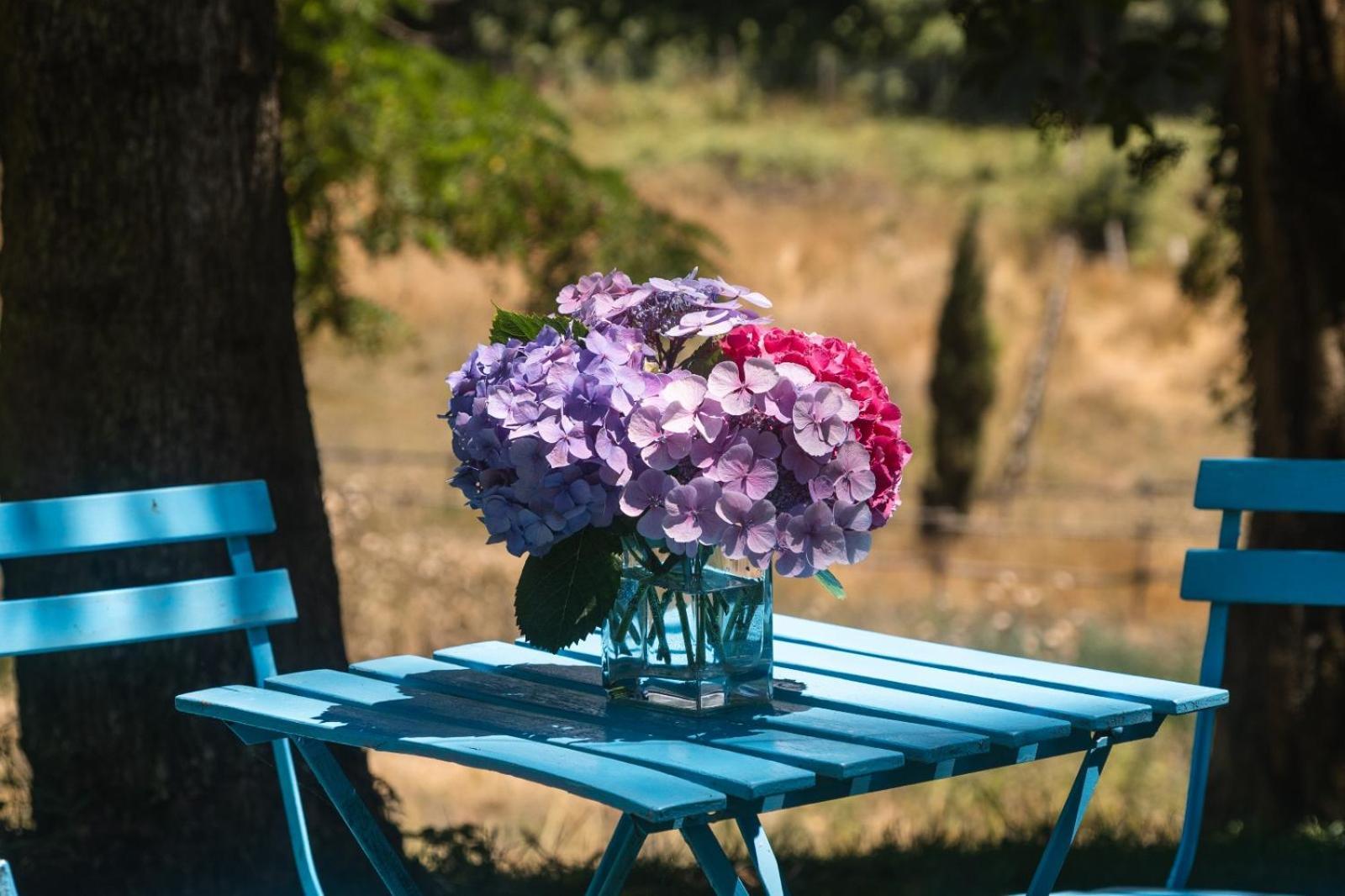 مبيت وإفطار بولسينا Collina Blu المظهر الخارجي الصورة
